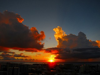 IMG_4201.jpg