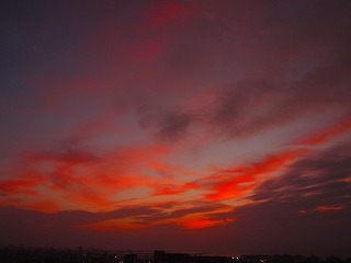 IMG_4366.jpg