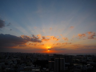 IMG_6820.jpg
