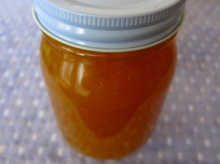 IMG_6992.jpg