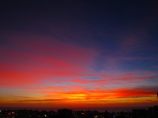 IMG_7506.jpg