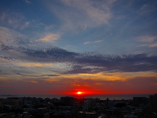 IMG_7560.jpg