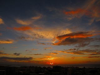 IMG_7720.jpg