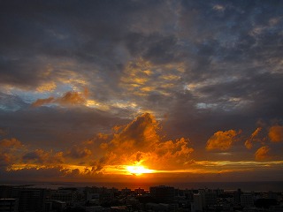 IMG_7728.jpg