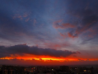 IMG_7755.jpg