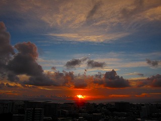 IMG_7770.jpg