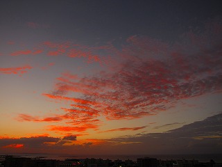 IMG_7947.jpg