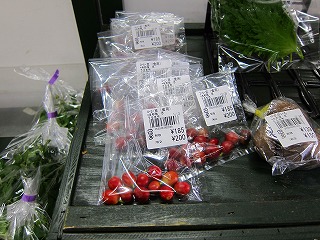 IMG_8217.jpg