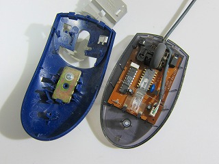 IMG_8504.jpg