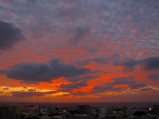 IMG_8557.jpg