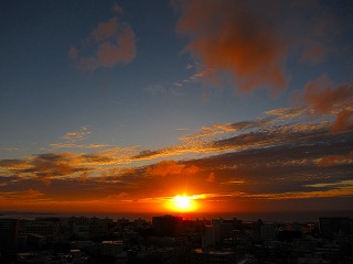 IMG_8691.jpg