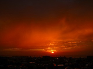 IMG_8769.jpg