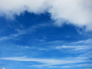 IMG_8780.jpg
