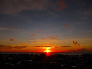 IMG_8900.jpg