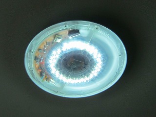 IMG_8914.jpg