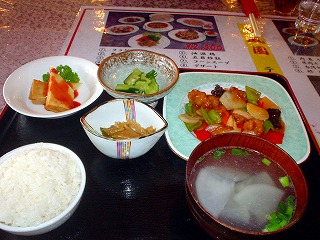 DSC00511.jpg