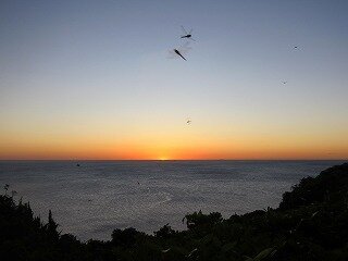 IMG_7503.jpg
